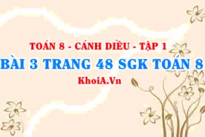 Bài 3 trang 48 SGK Toán 8 tập 1 Cánh Diều